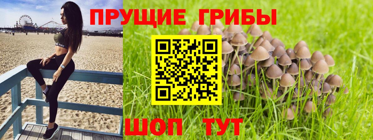 Галлюциногенные грибы MAGIC MUSHROOMS Тихорецк