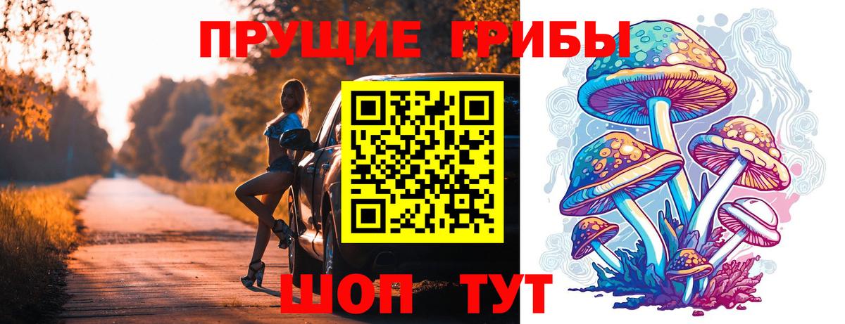 Тихорецк  Галлюциногенные грибы ЛСД  Псилоцибиновые грибы ЛСД  Вход с VPN 